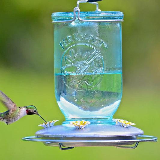 Comedero de vidrio estilo vintage para hasta 5 colibríes con capacidad de 32oz. Perky-Pet