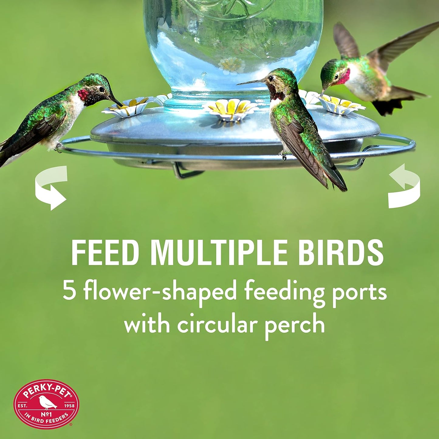 Comedero de vidrio estilo vintage para hasta 5 colibríes con capacidad de 32oz. Perky-Pet