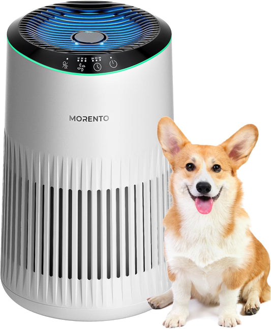 Purificador de aire pequeño, con aroma terapia. MORENTO