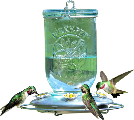 Comedero de vidrio estilo vintage para hasta 5 colibríes con capacidad de 32oz. Perky-Pet