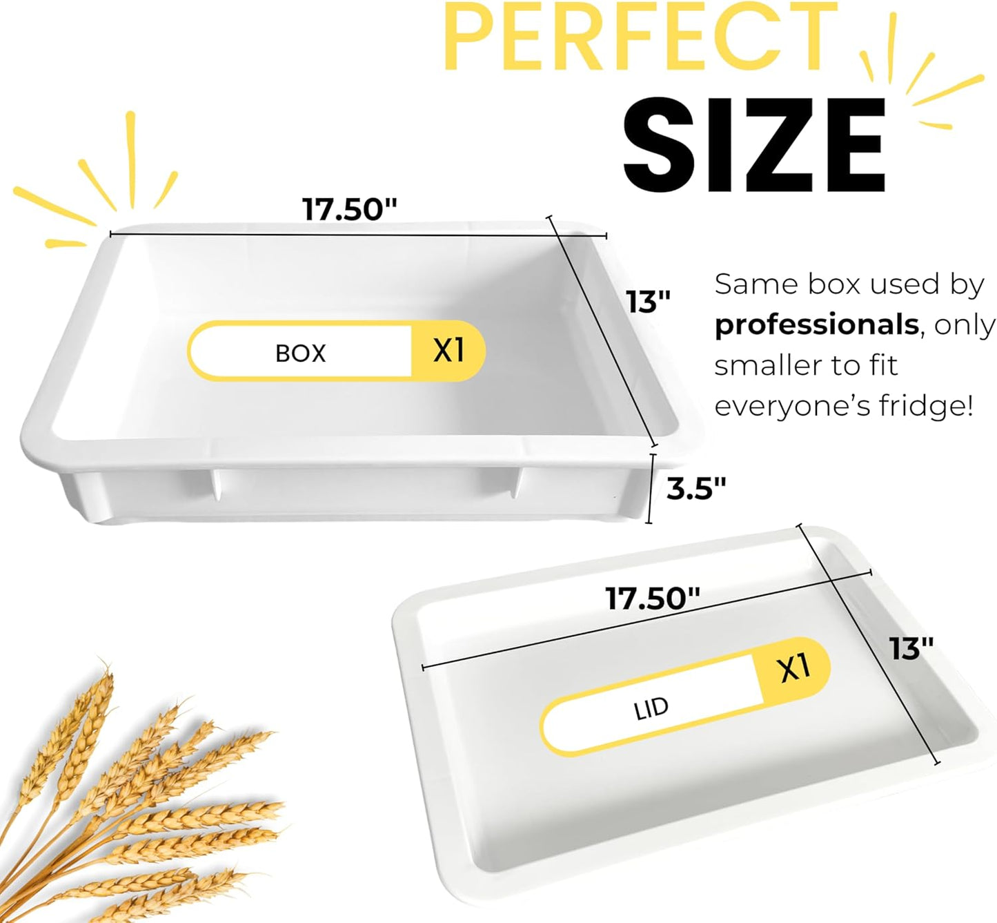 Caja de Fermentación  para Pasta de Pizza Lista al Instante UPIP