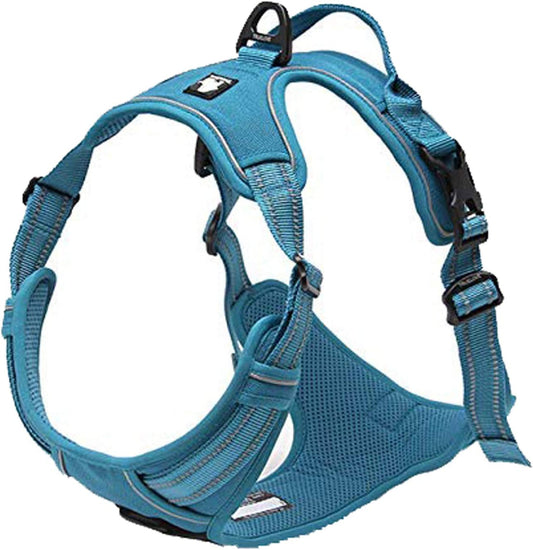 Pechera frontal turquesa para perro, sin tirones, reflectante, talla L